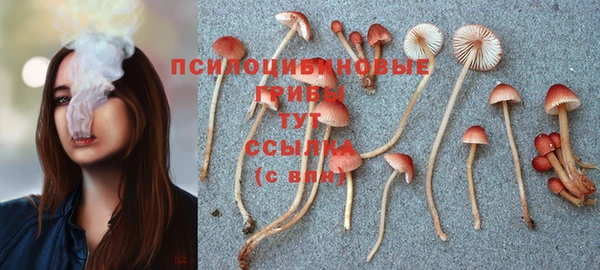марихуана Арсеньев